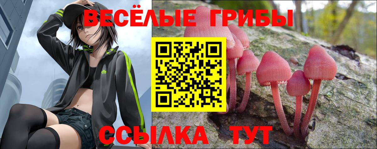 Псилоцибиновые грибы MAGIC MUSHROOMS Благодарный
