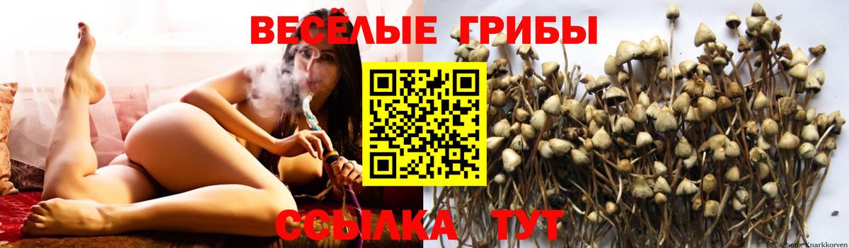 Псилоцибиновые грибы ЛСД  Вход с VPN  Благодарный  Псилоцибиновые грибы ЛСД 
